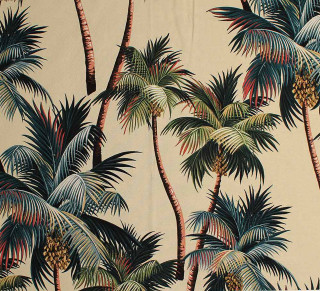 Palm trees pine cones wallpaper - palm tree free wallpaper