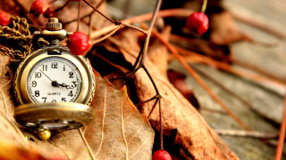 Pocket watch leaf berries ground - a pocket watch free wallpaper