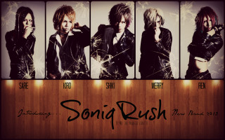 Group people wooden wall sonic - sonic free wallpaper