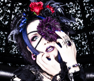 Blue hair makeup flower spider - a flower free wallpaper