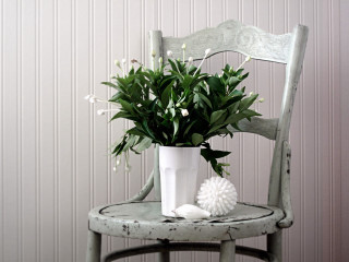 White vase flowers chair minimalism - a white vase free wallpaper