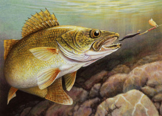 Fish fishing rod mouth rock - detailed oil painting free wallpaper