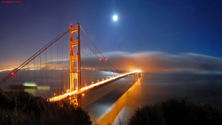 Foggy night golden gate bridge 2 - foggy free wallpaper