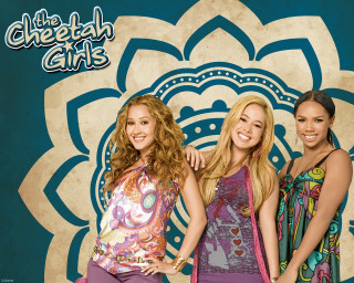 Cheetah girls beautiful women flower - free seasons wallpaper for desktop