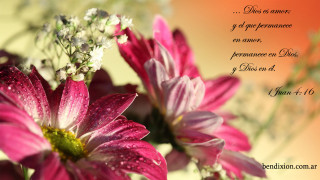 Bouquet flowers bible verse spanish - ilm free wallpaper