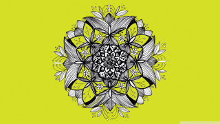 Flower yellow background black white - line drawing free wallpaper