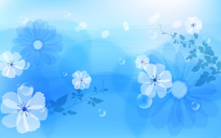 Blue background white flowers leaves 3 - white flower and leaves free wallpaper for desktop