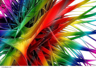 Multicolored abstract plant long leaves - digital art free wallpaper for desktop