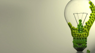 Light bulb green plant inside - a light bulb free wallpaper