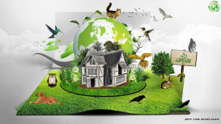 Eco green book house animals - a book free wallpaper