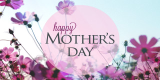 Happy mothers day pink circle - a pink circle free wallpaper for desktop