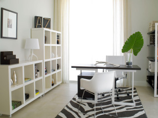 Zebra rug desk chair bookcase - a desk free wallpaper