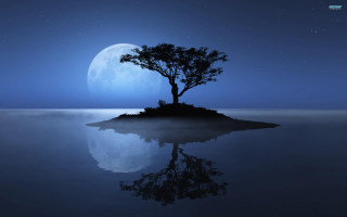 Tree island ocean night full 4 - moonlight free wallpaper