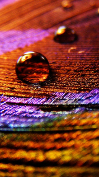 Water drop colorful surface wooden - free textures wallpaper for mobile