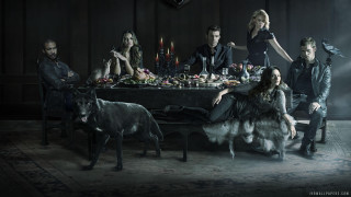 Group people table dog standing - free dogs wallpaper for desktop