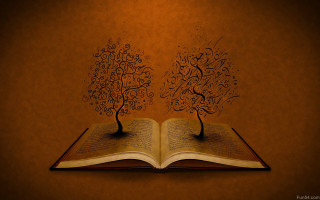 Book tree light on top - a book free wallpaper