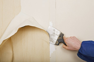 Person paintbrush painting wall white 2 - white paint free wallpaper