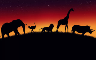 Animals hill night red sky - top of a grass free wallpaper