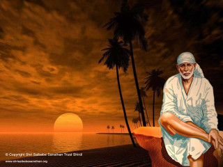 Man sitting wall ocean palm - a wall next free wallpaper