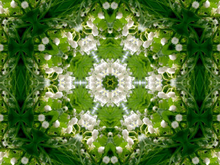 Green white flower mosaic christmas - flower pattern free wallpaper