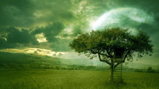 Tree house field ladder cloudy - a ladder free wallpaper