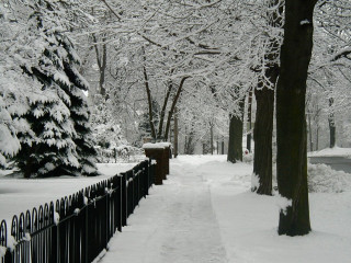 Snowy path fence trees street - a fence and trees free wallpaper