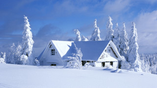 House snowy field trees blue - free winter wallpaper