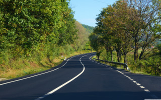 Curved road trees sign middle - smooth gradient free wallpaper