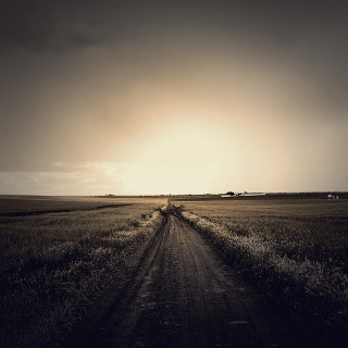 Dirt road field sky sun - tonalism free wallpaper for tablet