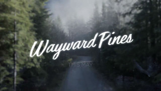 Wayward pines sign foggy forest - foggy free wallpaper