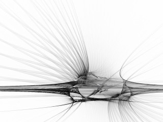 Black white bird long feathers - an abstract drawing free wallpaper