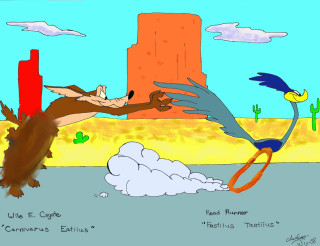 Cartoon bird desert flying beach - loony toon free wallpaper for desktop