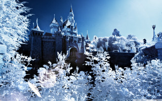 Castle clock tower surrounded by - top of its free wallpaper for desktop