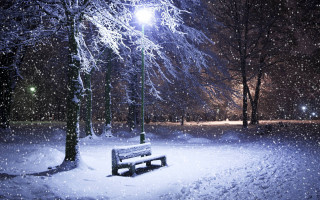 Bench snowy park night streetlight 8 - night free wallpaper