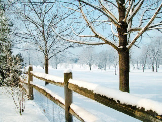 Fence snow tree background snow 2 - in the snow free wallpaper