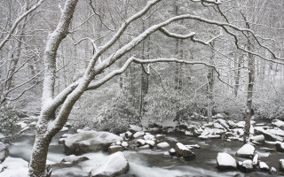 Snowy stream forest rocks ice - snow and ice free wallpaper