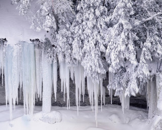 Trees ice icicles snow river - eric deschamps free wallpaper