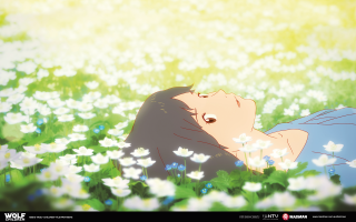 Woman laying field flowers eyes - a field of flowers free wallpaper for desktop