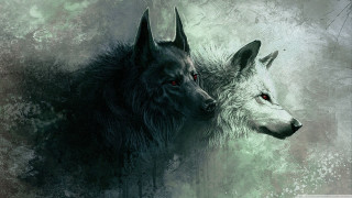 Two wolfs facing green background - a painting style free wallpaper for desktop