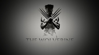 Man holding wolverine logo chest - bradley walker tomlin free wallpaper for desktop