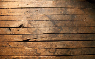 Wooden plank bird side bird 2 - texture free wallpaper for desktop