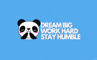 Panda sad face dream big - verdadism free wallpaper