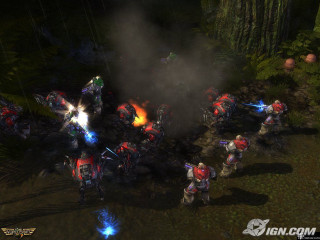 People forest fire group gathering - dai jin free wallpaper