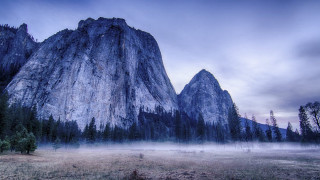 Mountain foggy field trees foreground - a foggy sky in the background free wallpaper