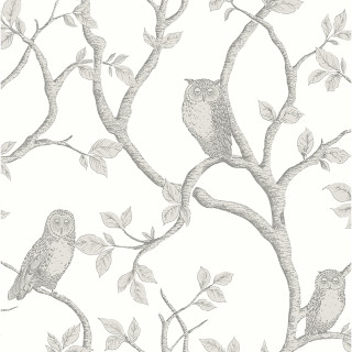 Owls tree branch leaves background - two owl free wallpaper