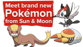 Cartoon bird colorful funny illustration - dan content free wallpaper