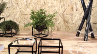 Table plants stone wall indoor - a wall behind free wallpaper