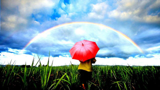 Person holding red umbrella field - vivid free wallpaper