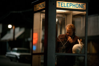 Man phone booth rabbit lap - a rabbit free wallpaper