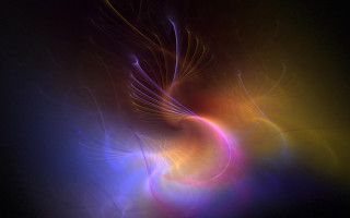 Colorful abstract bird prey black - volumetric light free wallpaper